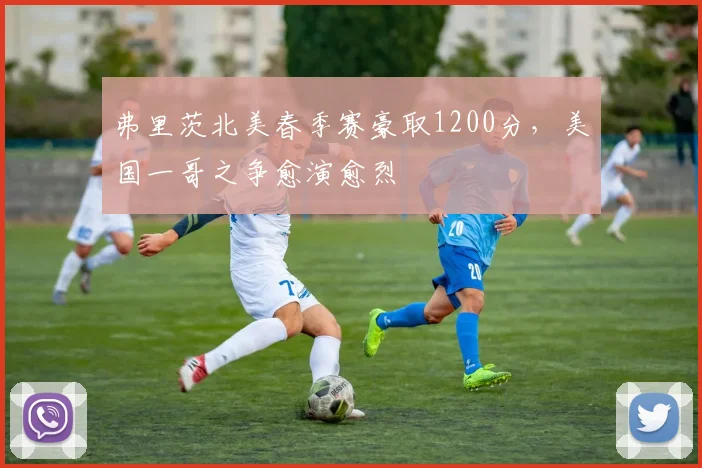 弗里茨北美春季赛豪取1200分,美国一哥之争愈演愈烈